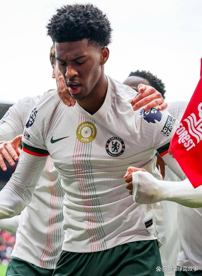 切尔西0-1不敌:领头车阿贾克斯拉开差距的简单介绍