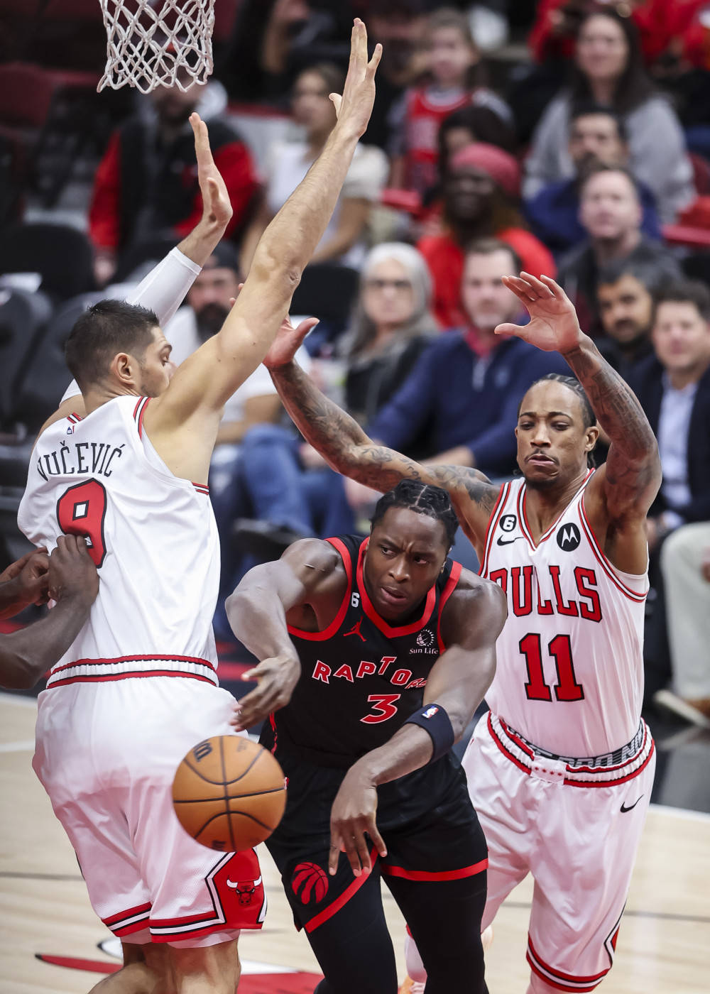 包含猛龙失利令球队陷入困境，士气低迷备战下一场比赛的词条