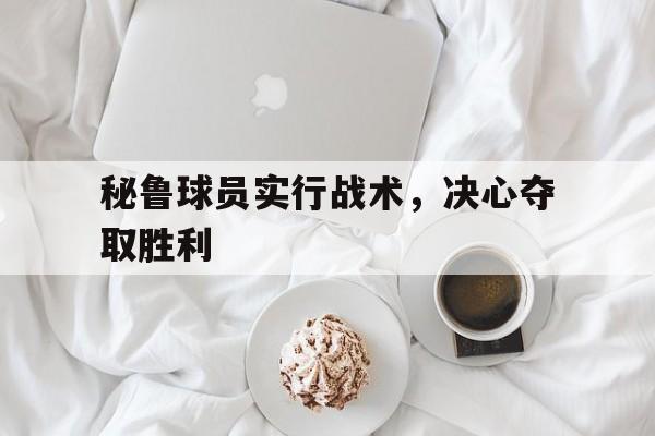 关于秘鲁球员实行战术,决心夺取胜利的信息