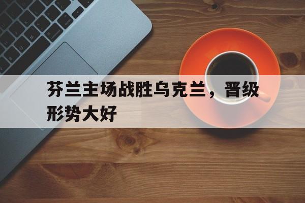 关于芬兰主场战胜乌克兰,晋级形势大好的信息