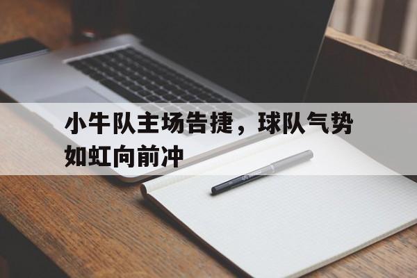 小牛队主场告捷，球队气势如虹向前冲的简单介绍